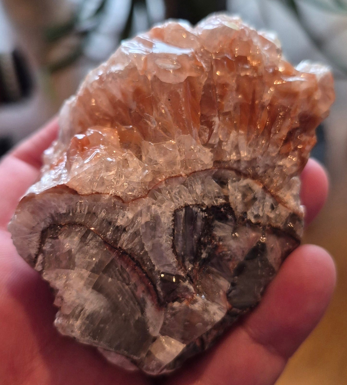 Rainbow Calcite Cluster — Mexico