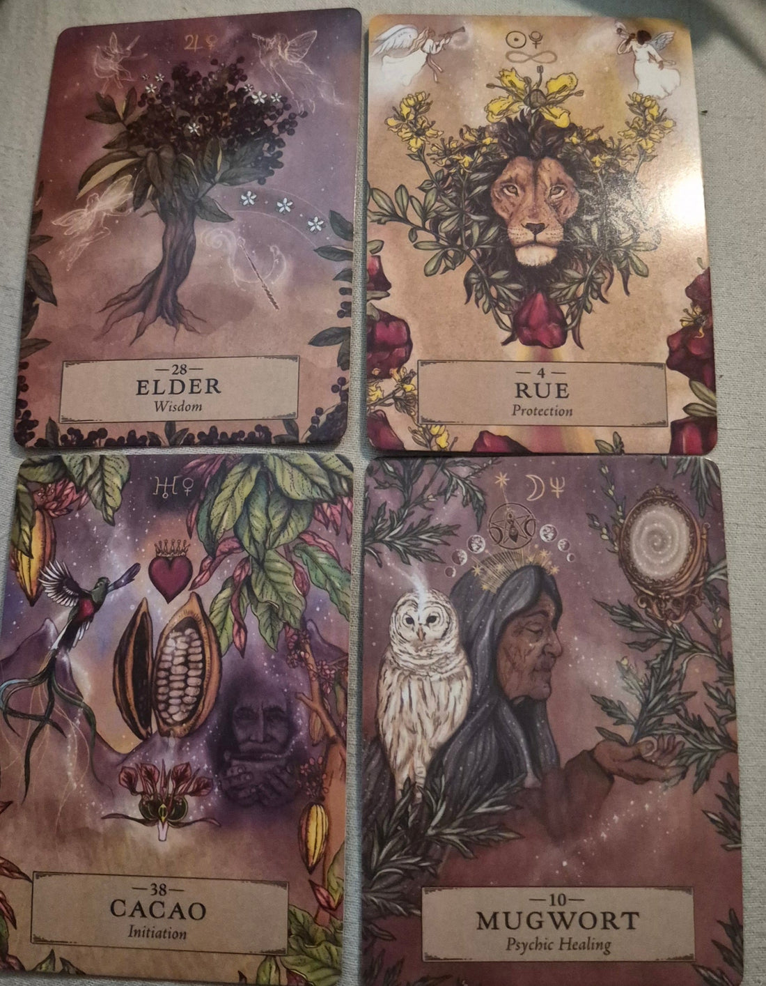 Four plant medicine oracle cards: Elder (Wisdom), Rue (Protection), Cacao (Initiation), Mugwort (Psychic Healing)