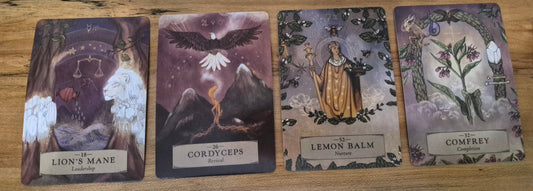 Four oracle cards laid on wood: Lion's Mane (Leadership), Cordyceps (Revival), Lemon Balm (Nurture), Comfrey (Completion)