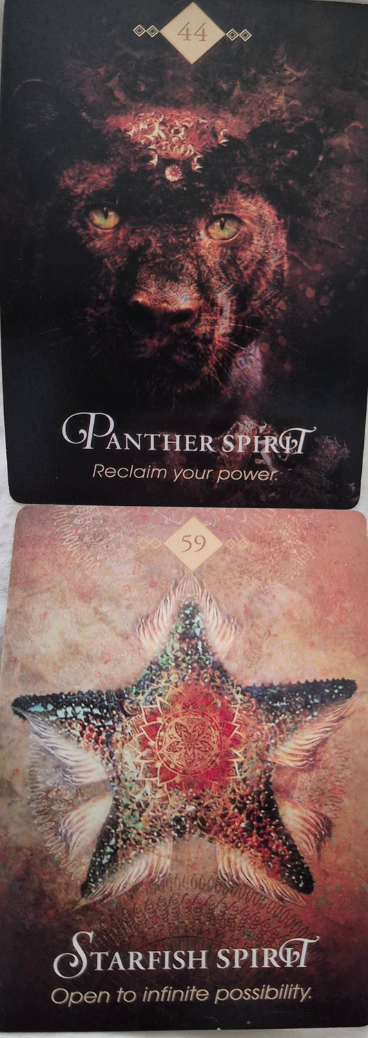 Two-card oracle spread featuring Panther Spirit, 44, Reclaim your power, and Starfish Spirit, 59, Open to infinite possibility.