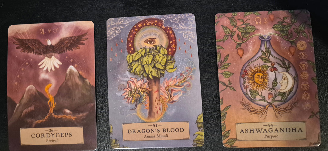 Three oracle cards: Cordyceps (Revival), Dragon's Blood (Anima Mundi), and Ashwagandha (Purpose).