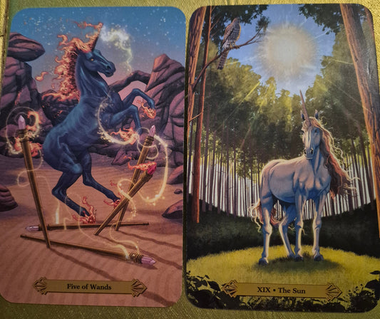 Five of Wands and The Sun tarot cards from the daily collective reading