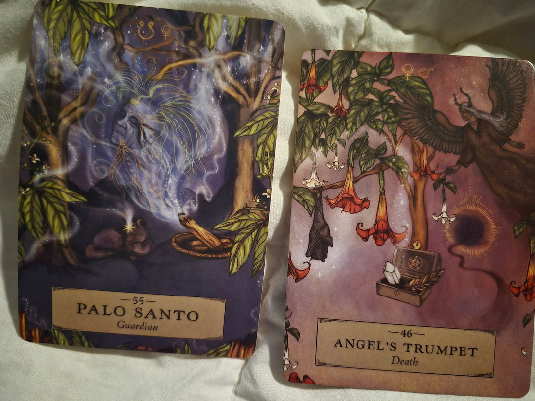 Two plant medicine oracle cards: Palo Santo (Guardian) and Angel's Trumpet (Death) laid on white fabric