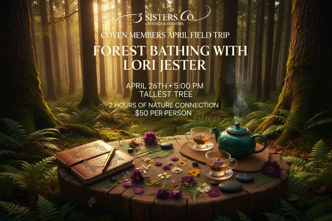 Three sisters co. coven members April field trip: forest bathing with Lori Jester 🌳
