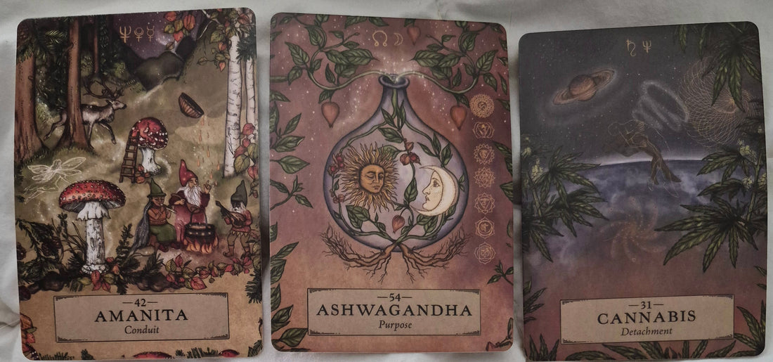 Three oracle cards: 42 Amanita, Conduit; 54 Ashwagandha, Purpose; and 31 Cannabis, Detachment.