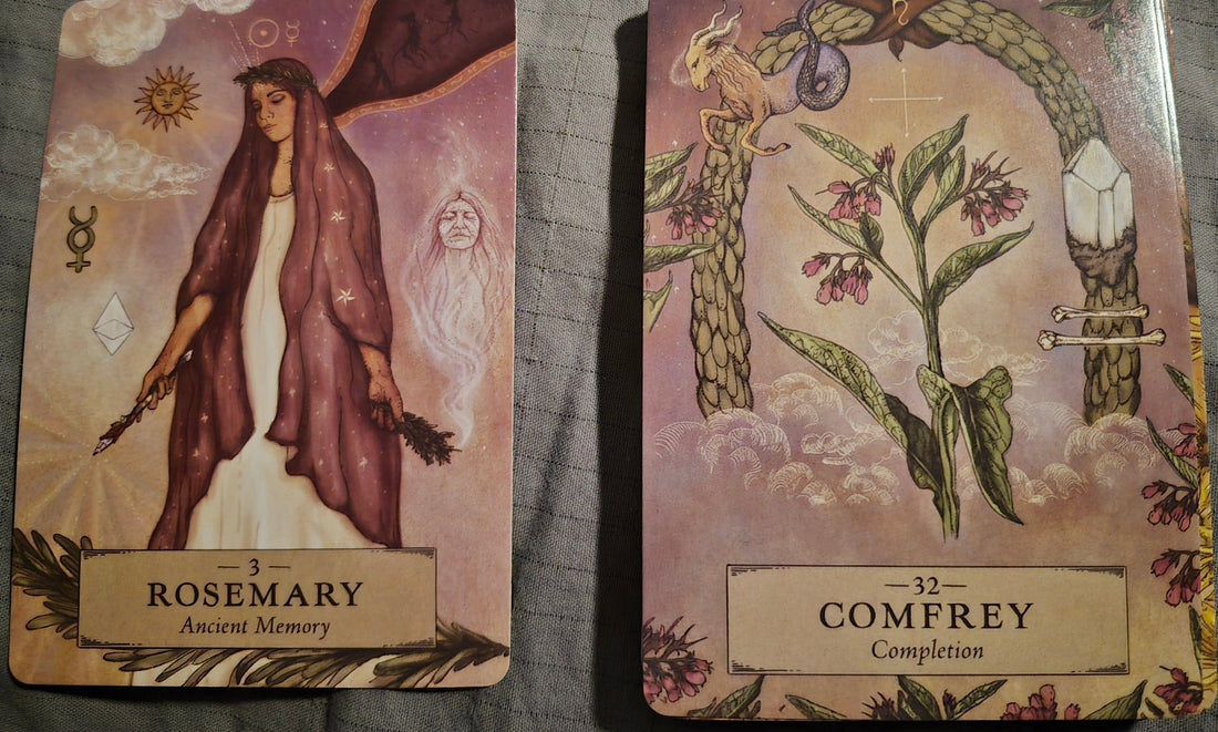 Rosemary Ancient Memory and Comfrey Completion oracle cards from a plant medicine deck