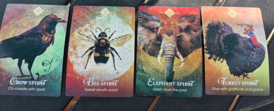 Four Spirit Animal Oracle cards laid out for the daily collective reading: Crow Spirit, Bee Spirit, Elephant Spirit, and Turkey Spirit