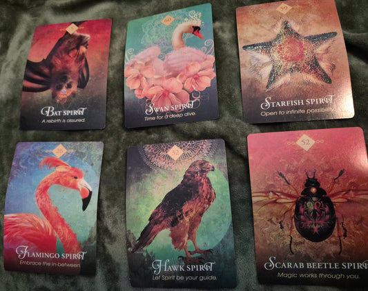 Six-card oracle spread with Bat Spirit, Swan Spirit, Starfish Spirit, Flamingo Spirit, Hawk Spirit, and Scarab Beetle Spirit.