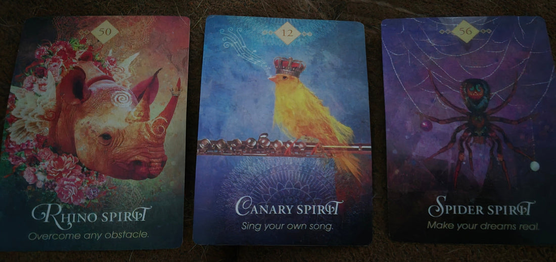 Three oracle cards laid out: Rhino Spirit, Canary Spirit, and Spider Spirit — daily collective reading August 5 2026