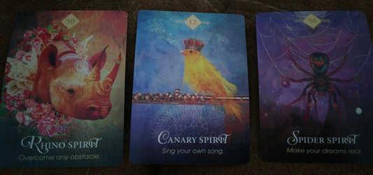 Three oracle cards laid out: Rhino Spirit, Canary Spirit, and Spider Spirit — daily collective reading August 5 2026