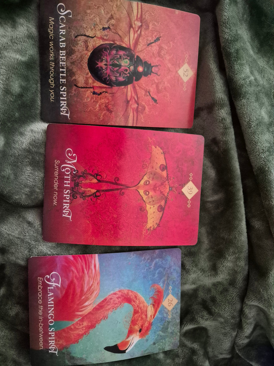 🔮 Daily Oracle Reading – April 6, 2026 | Scarab Beetle, Moth & Flamingo Spirit
