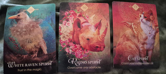 Three animal spirit oracle cards: White Raven Spirit, Rhino Spirit, and Cat Spirit