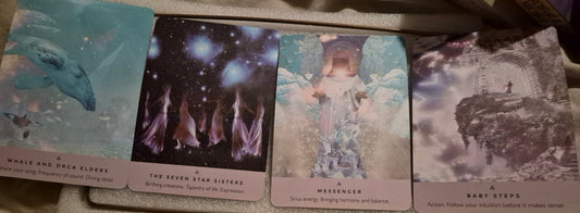Four oracle cards laid out: Whale and Orca Elders, The Seven Star Sisters, Messenger, and Baby Steps