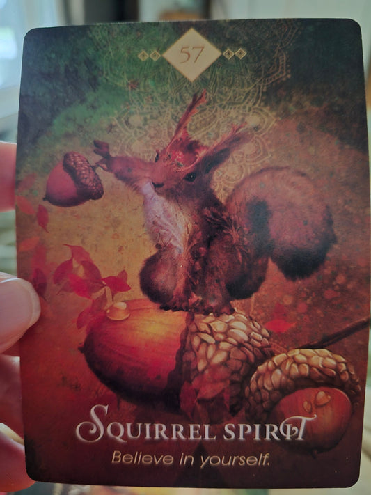Squirrel Spirit oracle card #57 — Believe in yourself