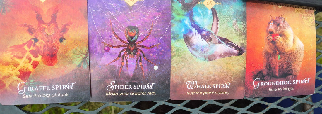Four oracle cards laid out: Giraffe Spirit, Spider Spirit, Whale Spirit, and Groundhog Spirit