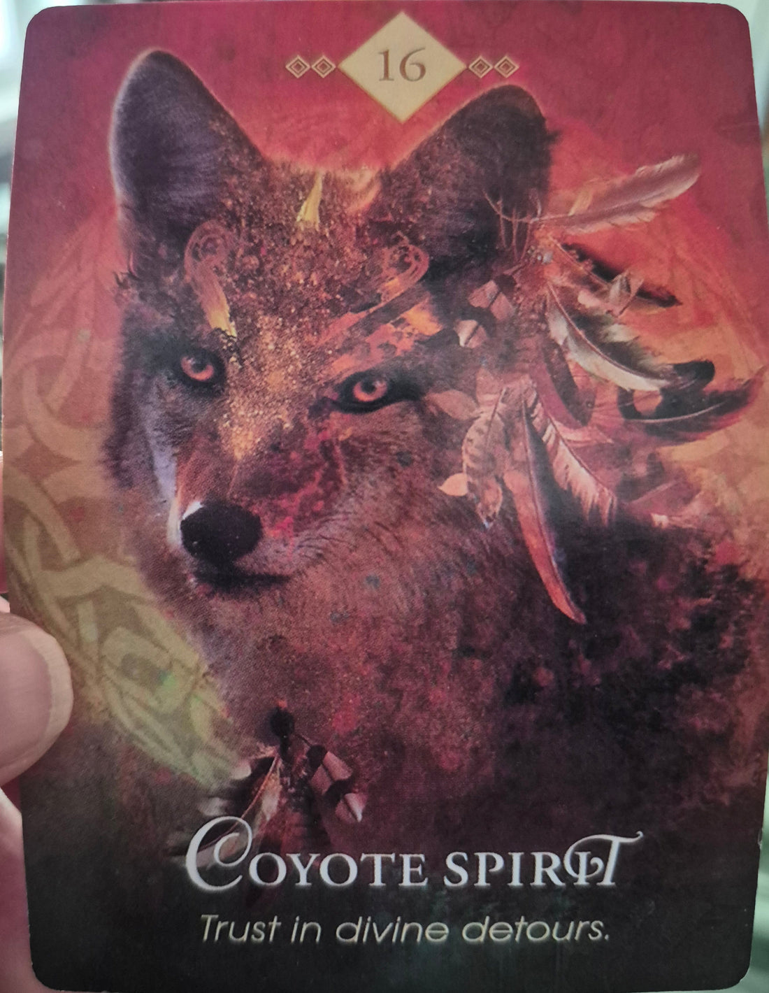 Coyote Spirit oracle card #16 – Trust in divine detours – Spirit Animal Oracle