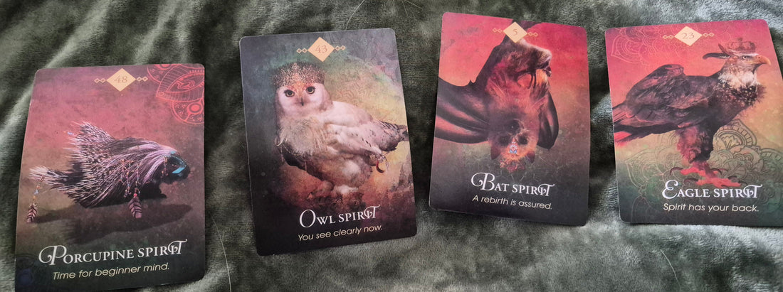 Daily Oracle Reading cards: Porcupine, Owl, Bat, and Eagle Spirit