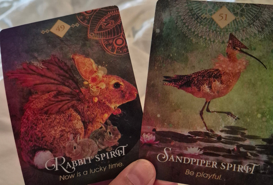 Daily Collective Reading — April 18, 2026 🐇🐦