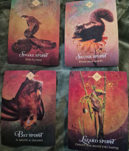 Four spirit animal oracle cards: Snake Spirit, Skunk Spirit, Bat Spirit, and Lizard Spirit