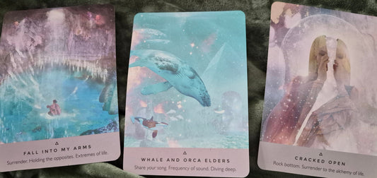 Three oracle cards: Fall Into My Arms, Whale and Orca Elders, and Cracked Open — April 2026 collective reading
