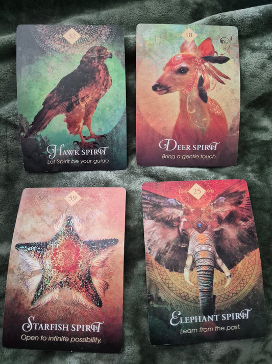 Four oracle cards: Hawk Spirit, Deer Spirit, Starfish Spirit, and Elephant Spirit from a daily collective reading
