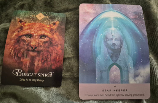 Daily collective oracle reading cards: Bobcat Spirit and Star Keeper