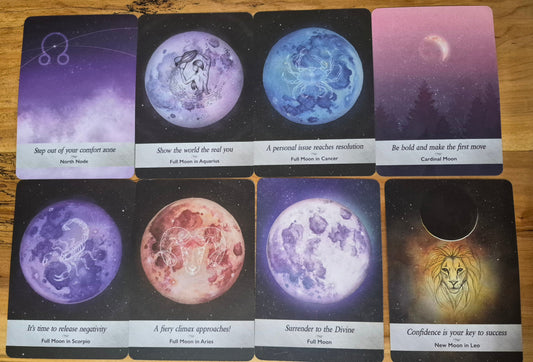 Daily reading: coven members free monthly reading