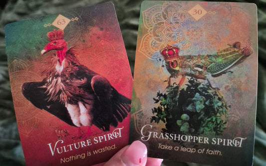 Two oracle cards: Vulture Spirit (#63) 'Nothing is wasted' and Grasshopper Spirit (#30) 'Take a leap of faith' — Daily Collective Reading July 1, 2026