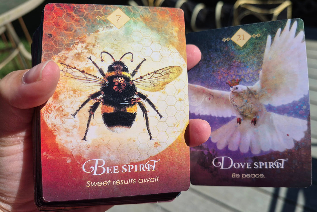 Bee Spirit card 7, Sweet results await, beside Dove Spirit card 21, Be peace, held outdoors.