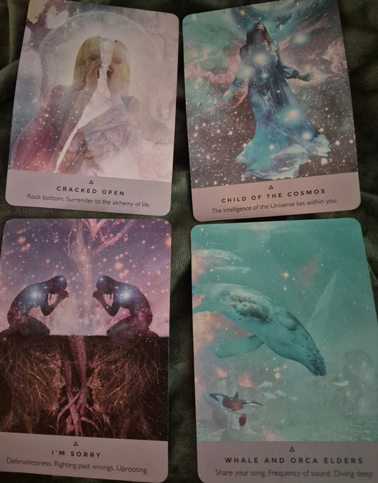 Four oracle cards: Cracked Open, Child of the Cosmos, I'm Sorry, and Whale and Orca Elders – Daily Collective Reading July 7 2026