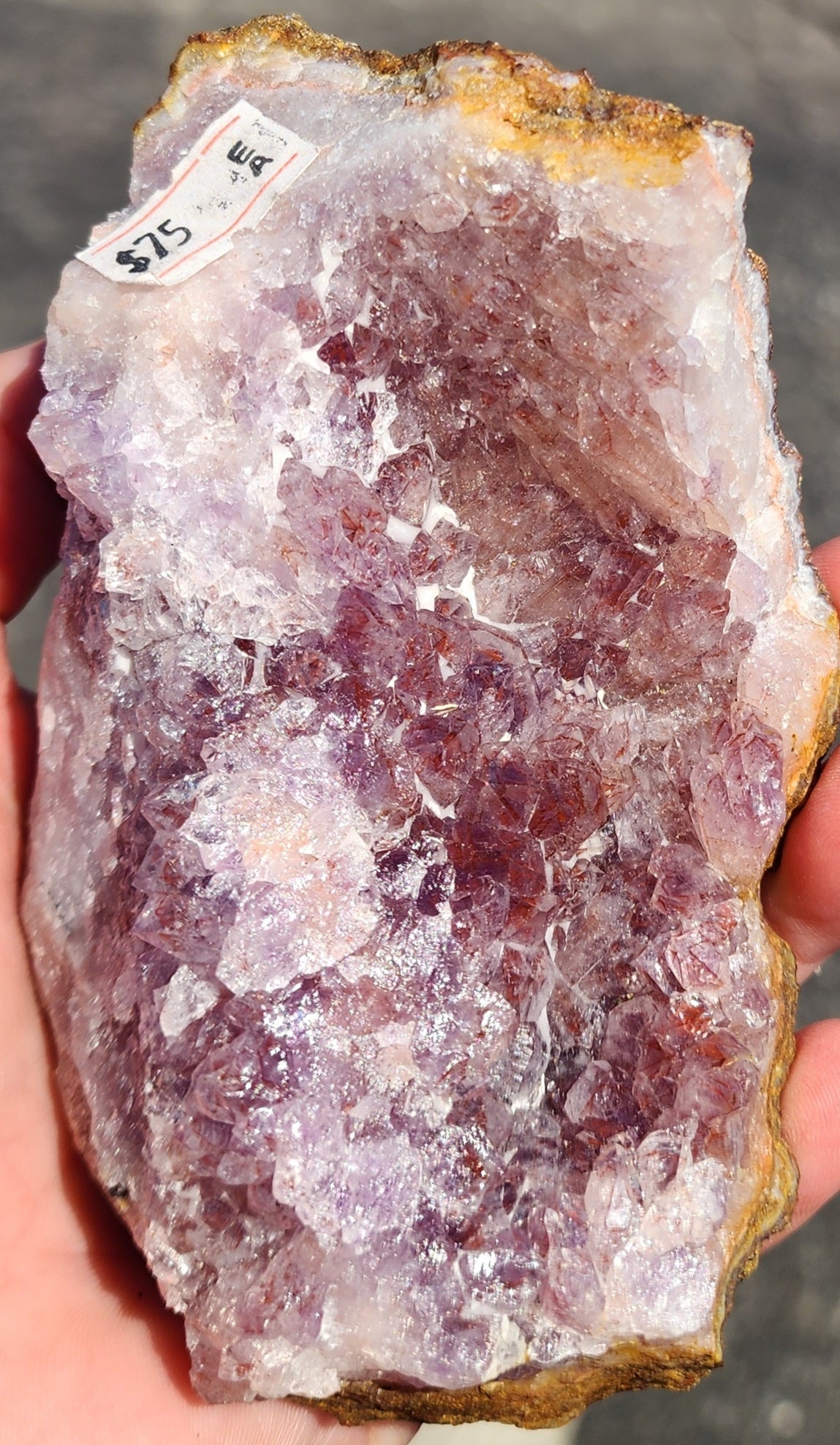 Amethyst Crystal Cluster Specimen