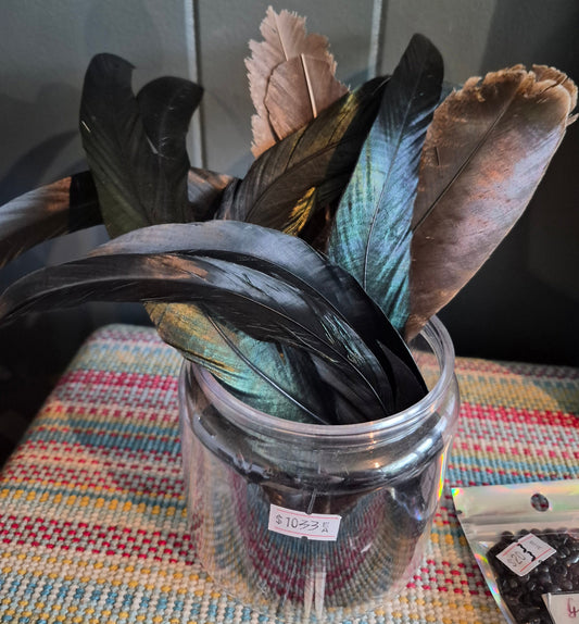 Ritual Feathers 🪶
